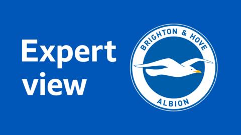 Brighton expert view