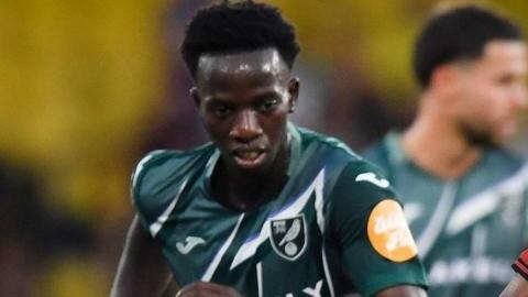 Papa Amadou Diallo in action for Norwich City