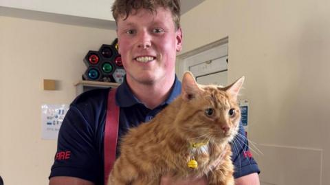 Rescued cat