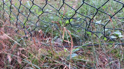 A fence surrounding a water storage site in Mechernich was found damaged on Thursday