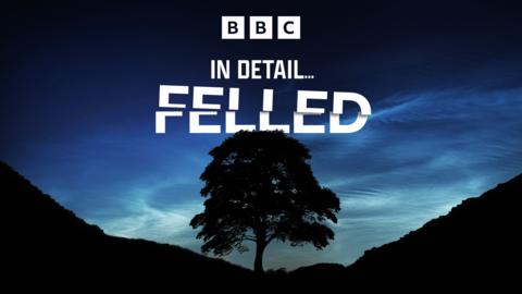 In Detail: Felled