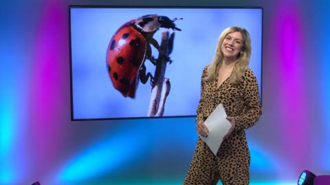 Jenny  in the Newsround studio
