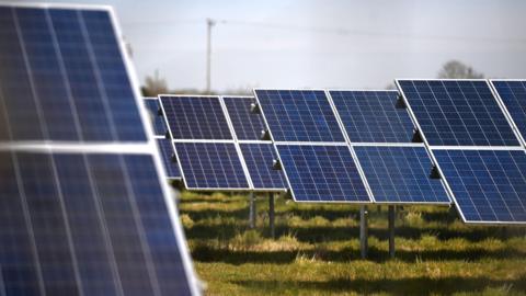 Solar panels at a solar facility among green grass