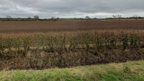 An expanse of fields
