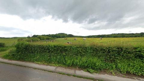 A Google street view image showing a large field surrounded by hedges. Cows can be seen grazing. 