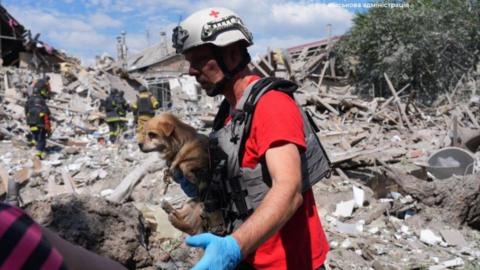 A rescue worker wearing a helmet carries a small dog next to the rubble of a building destroyed by an attack. 