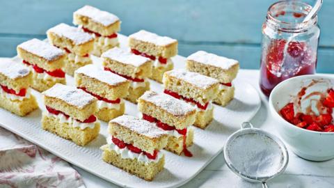 A plate of small, rectangular sponge cakes.