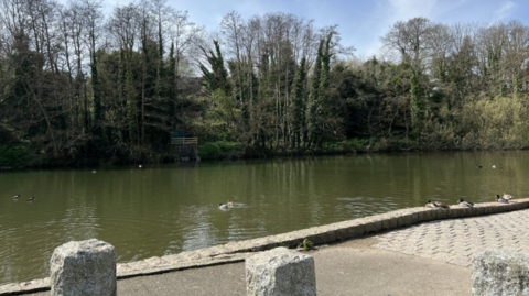 Queens Valley reservoir filled with water. There are ducks on the water.