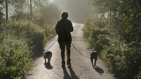 A woman walks two dogs on a path in a rural area. Both dogs are on a lead and the woman has her back to the camera.