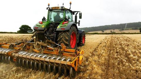 A tractor pulls a form of plow behind it across a field of short, yellow stalks.
