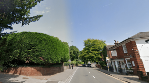 A leafy residential road with houses and trees on both sides