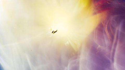 An abstract image of different colours and shapes in overlapping curves and contours, with a bright golden light breaking through at the top