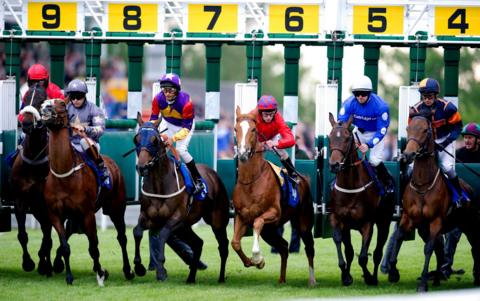 Horses set off in a race at Hamilton Park Racecourse.