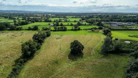 A large green field with a few large trees visible but the rest of the field is grassland with new trees planted