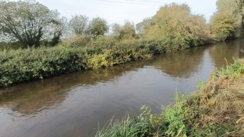 A waterway flanked by greenery and trees