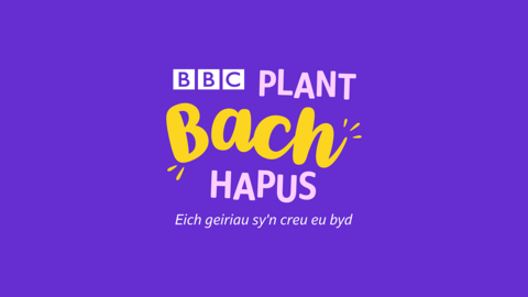 THP Welsh logo - Reads 'Plant Bach Hapus'