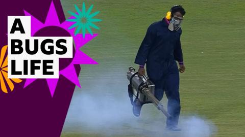 Bug fumigator runs on to the pitch following fly infestation during India v Pakistan match