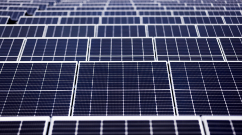 Stock image of a solar farm showing the panels in closely packed rows