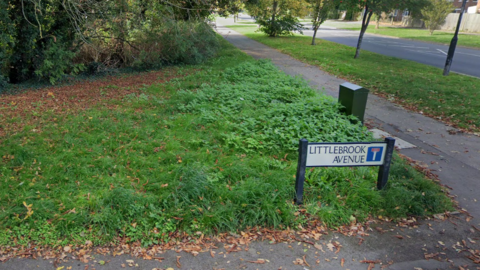 A sign at the start of Littlebrook Avenue in Slough, next to a grassy area, some of which has been covered with leaves.