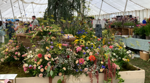 A colourful flower display on a raised flower bed in a white tent. People are walking around looking at different displays.