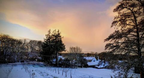 Snow-laden rural scene during late afternoon