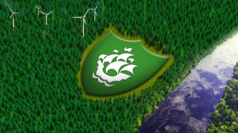 A Green Badge in a forest.