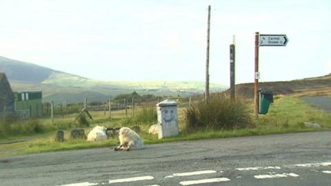 A sheep sits in the road in the village