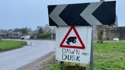 Migratory toad crossing signs