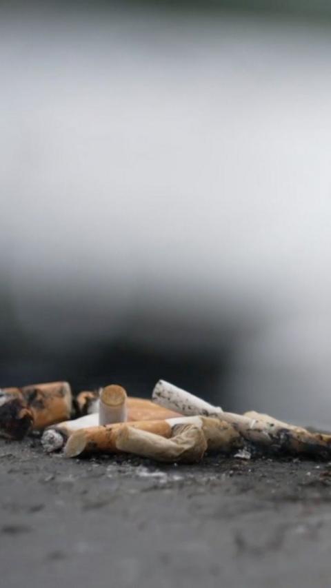 A close up image of a pile of burnt down cigarettes on the pavement.