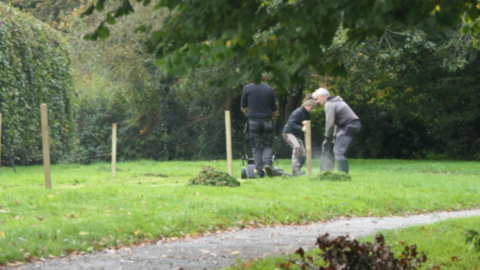 Three people on the right digging on the grass. There are wooden posts in the area and trees and bushes in the background.