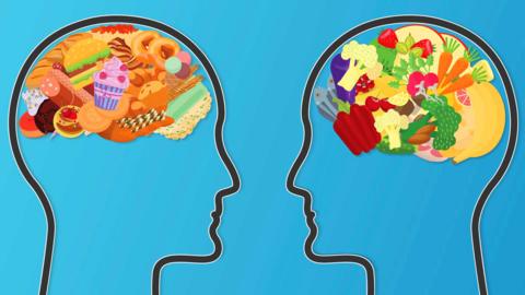 A graphic of two heads, one filled with junk food and one filled with fruit and vegetables