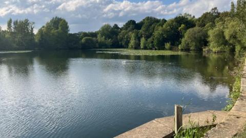 A body of water with trees in the background.