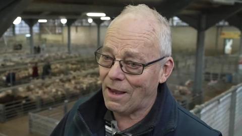 A man with grey hair and glasses speaking. He is in a large farmyard building with animals in pens behind him.