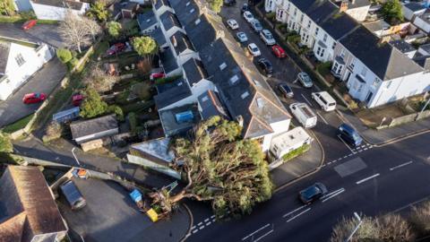 A tree fell on to a property in Falmouth. It is a large green tree on top of a house on the end of a road.