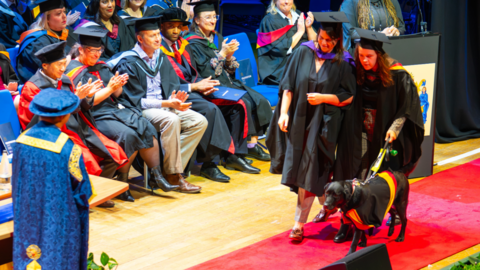 Caitlin walks onto the stage with assistance from another woman with Honey by her side. Student in traditional gowns sit to one side.