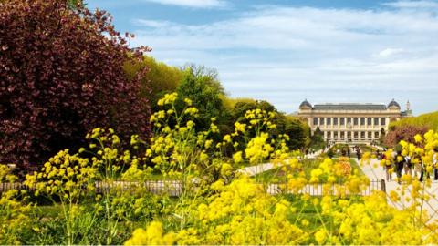 Flowers bloom in front of the French National Museum of Natural History in Paris