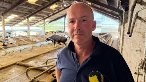 A man is wearing a blue t-shirt and is standing in a cow shed with horses roaming around.