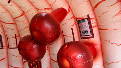 A close-up of the inside of the giant inflatable bowel which is coloured pink with lines representing blood vessels. Notices have been stuck to the inflatable to tell visitors information.