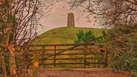 A view of Glastonbury Tor from the foot of the hill. The trees have colourful leaves and the sky is pink.