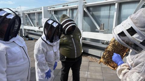 Office workers watch as beekeeper shows them bees from a hive.