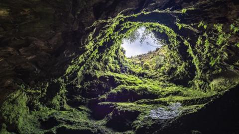 A view from the bottom of a cave looking up at the small opening at ground level and the sky beyond. The cave is covered in green moss.