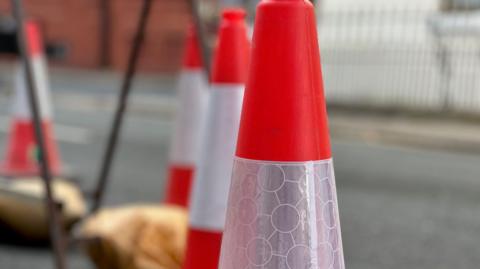 Orange and white traffic cones in a line.
