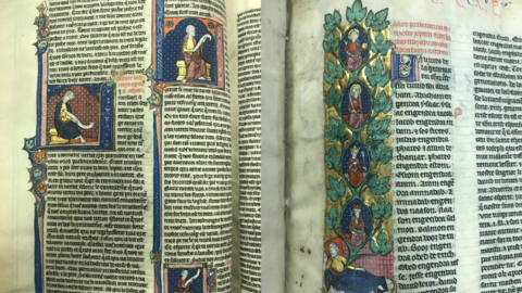 A collage of two pages of the manuscript. It contains text in old French and colourful drawings.