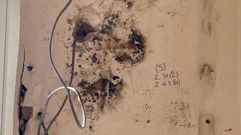 Black mould growing on the living room wall of a house