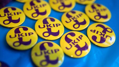 UKIP badges