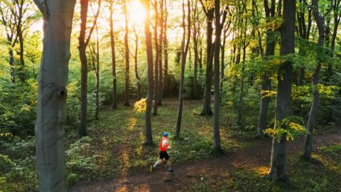 A trail running makes their way through a wooded areas. Leaves fill the trees and the sun peaks through them in the distance.