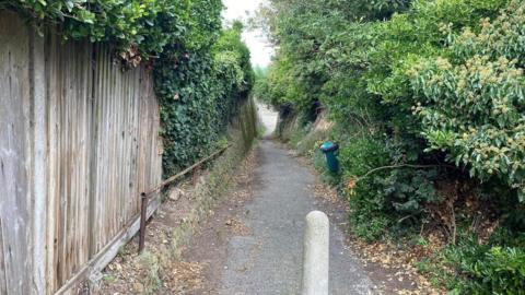 Coleman's Stairs alleyway in Birchington, east Kent. The alleyway is paved and has a bannister running down the side. Bushes can be seen either side of the alleyway.
