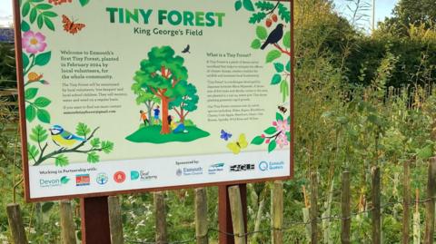 A signpost welcoming visitors to the Tiny Forest with the young trees in the background. The sign explains that the forest is maintained by volunteers and schoolchildren. It also describes that a Tiny Forest is a small dense forest created to mitigate climate change and encourage biodiversity. The sign has trees, flowers and birds printed on it. 
