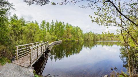 A wooden path winds around the edge of the water at High Dam Tarn. It is surrounded by shrubs and trees.