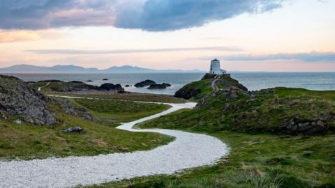 A winding path in Anglesey.